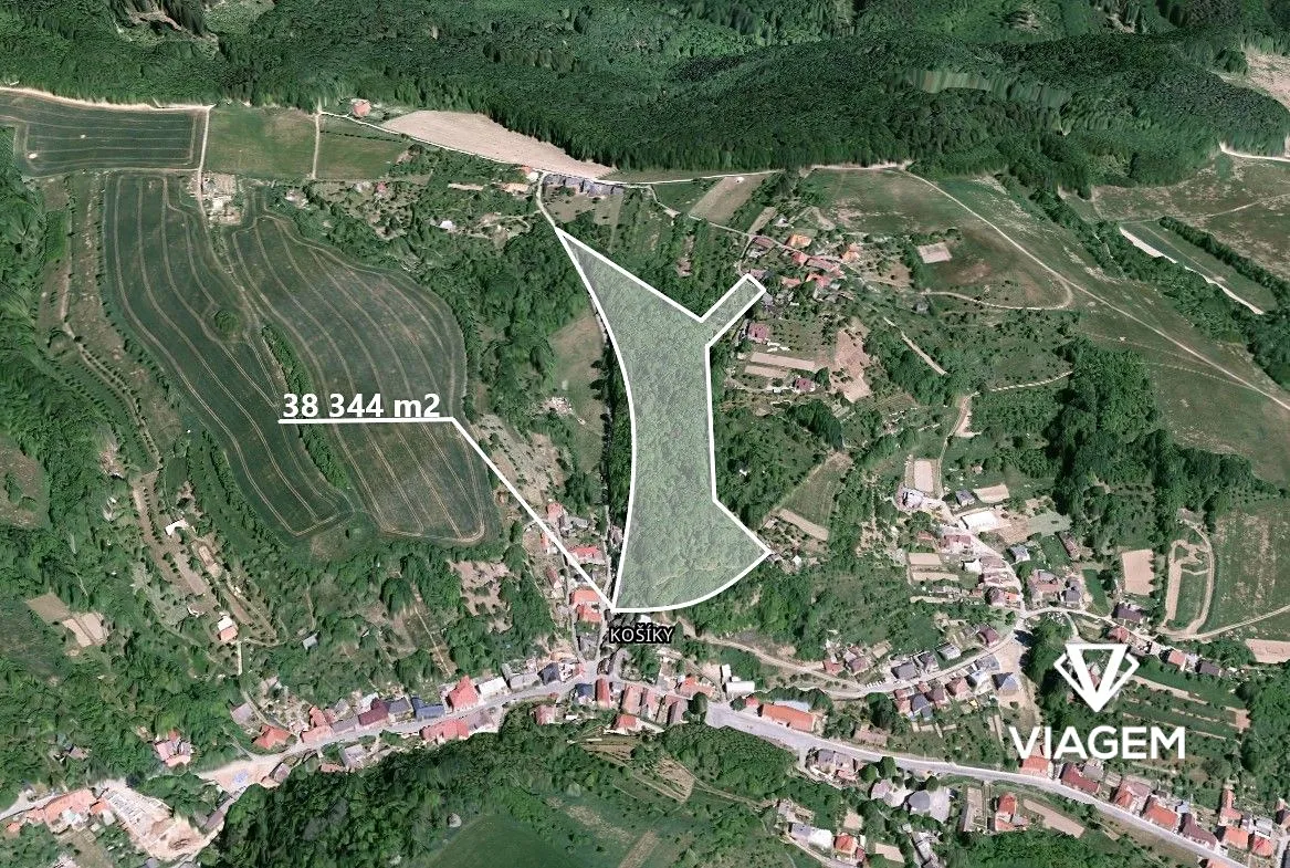 Prodej podílu 11/62 lesa 6802 m²